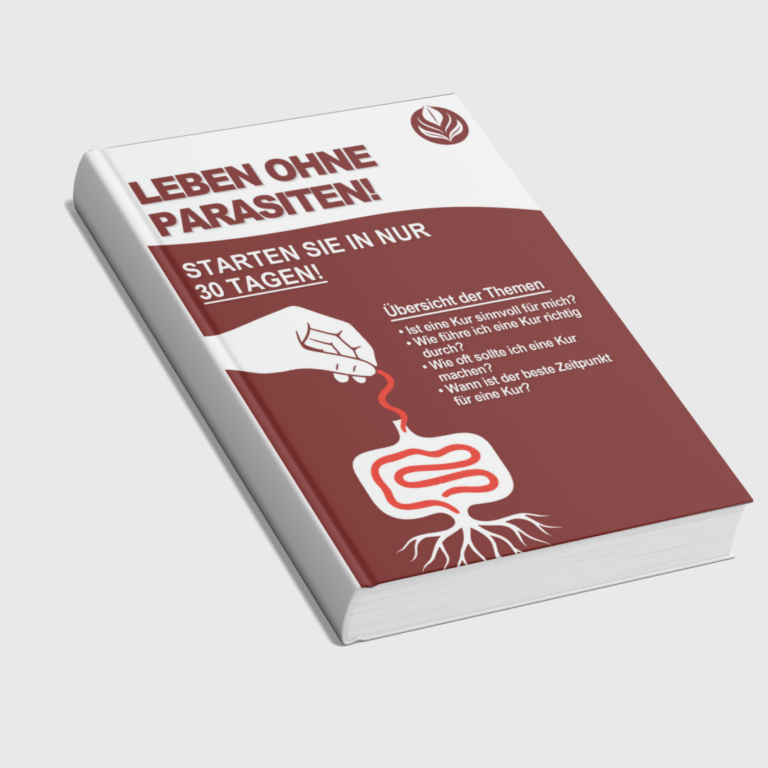Design ohne Titel (2)